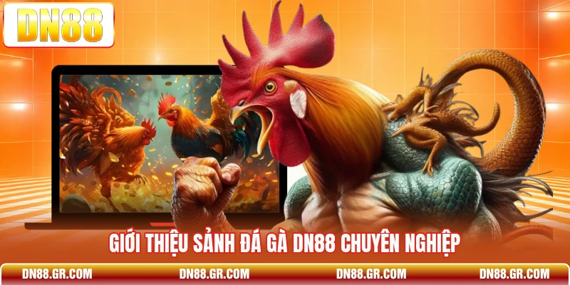 Giới thiệu sảnh đá gà Dn88 chuyên nghiệp