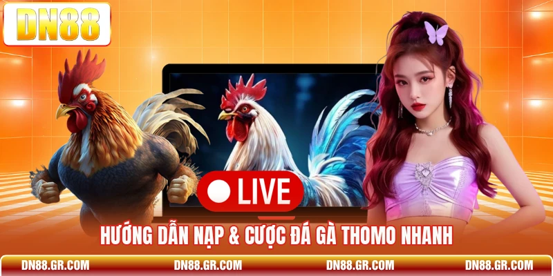 Hướng dẫn nạp & cược đá gà Thomo nhanh