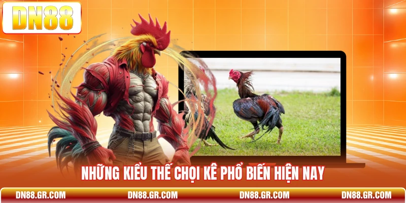 Những kiểu thế chọi kê phổ biến hiện nay