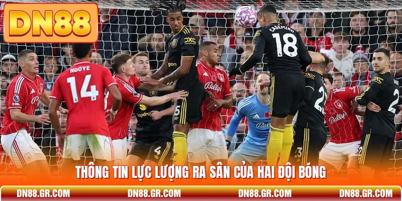 Thông tin lực lượng ra sân của hai đội bóng